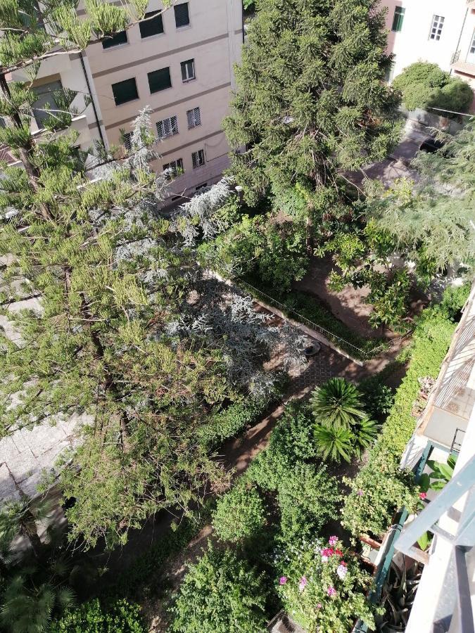 " Domus Coralla" Bnb Racconti Di Viaggio 卡塔尼亚 外观 照片