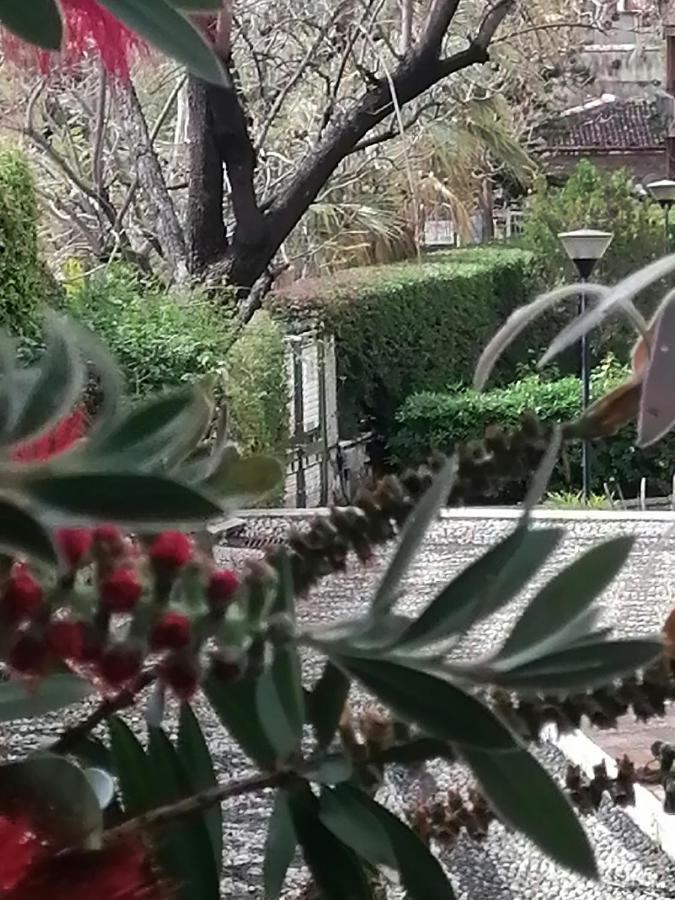 " Domus Coralla" Bnb Racconti Di Viaggio 卡塔尼亚 外观 照片