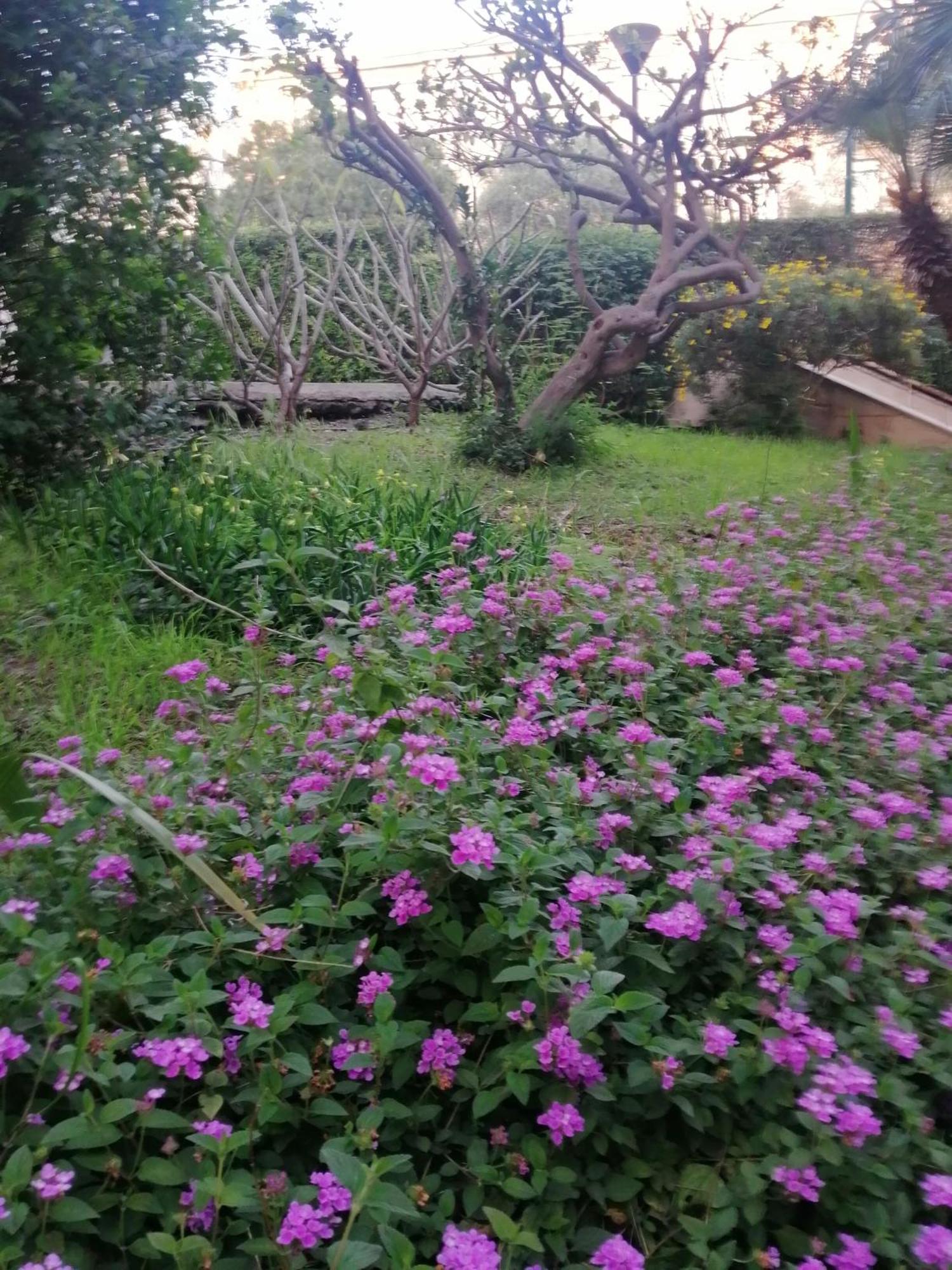 " Domus Coralla" Bnb Racconti Di Viaggio 卡塔尼亚 外观 照片