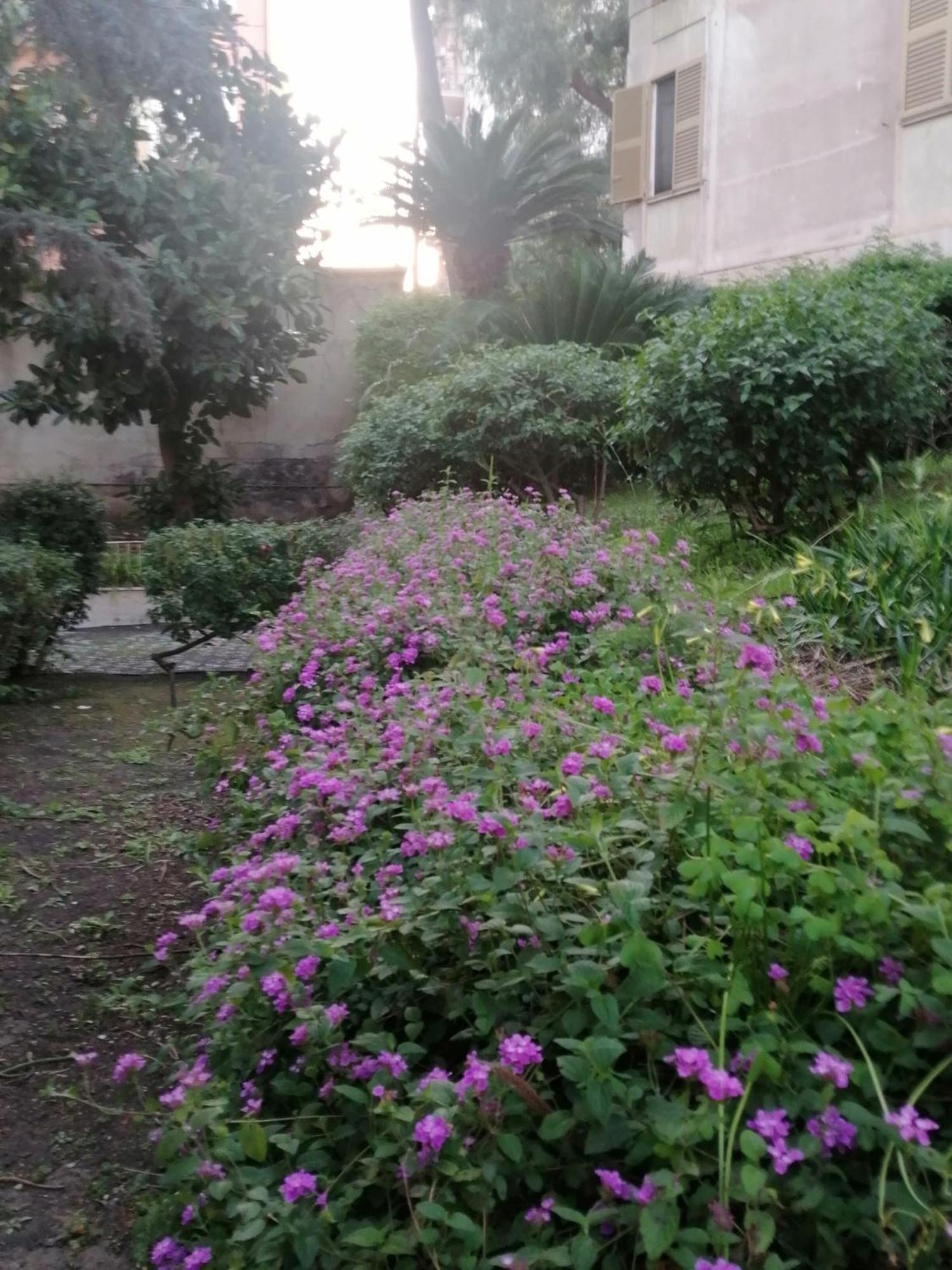 " Domus Coralla" Bnb Racconti Di Viaggio 卡塔尼亚 外观 照片