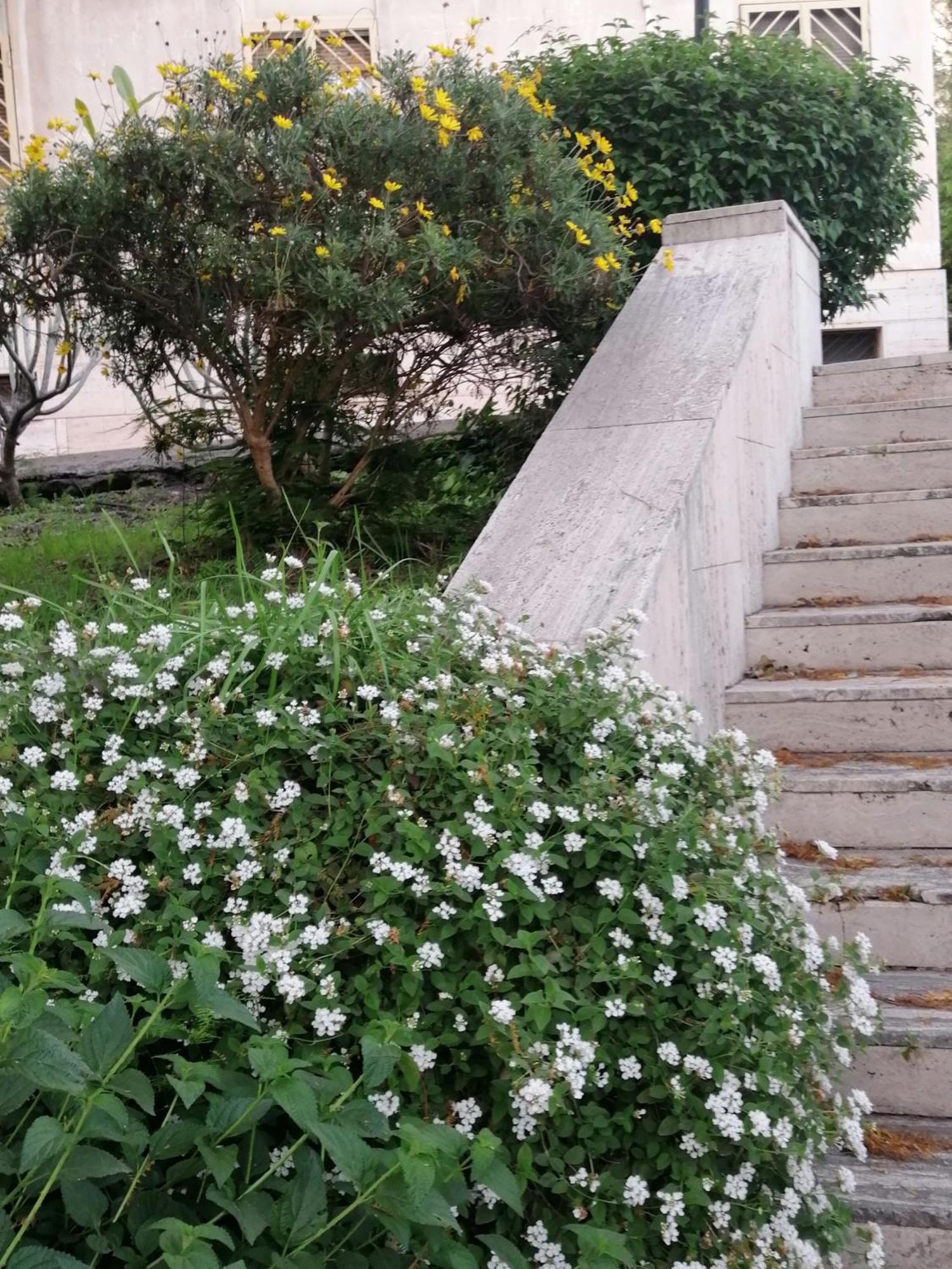" Domus Coralla" Bnb Racconti Di Viaggio 卡塔尼亚 外观 照片